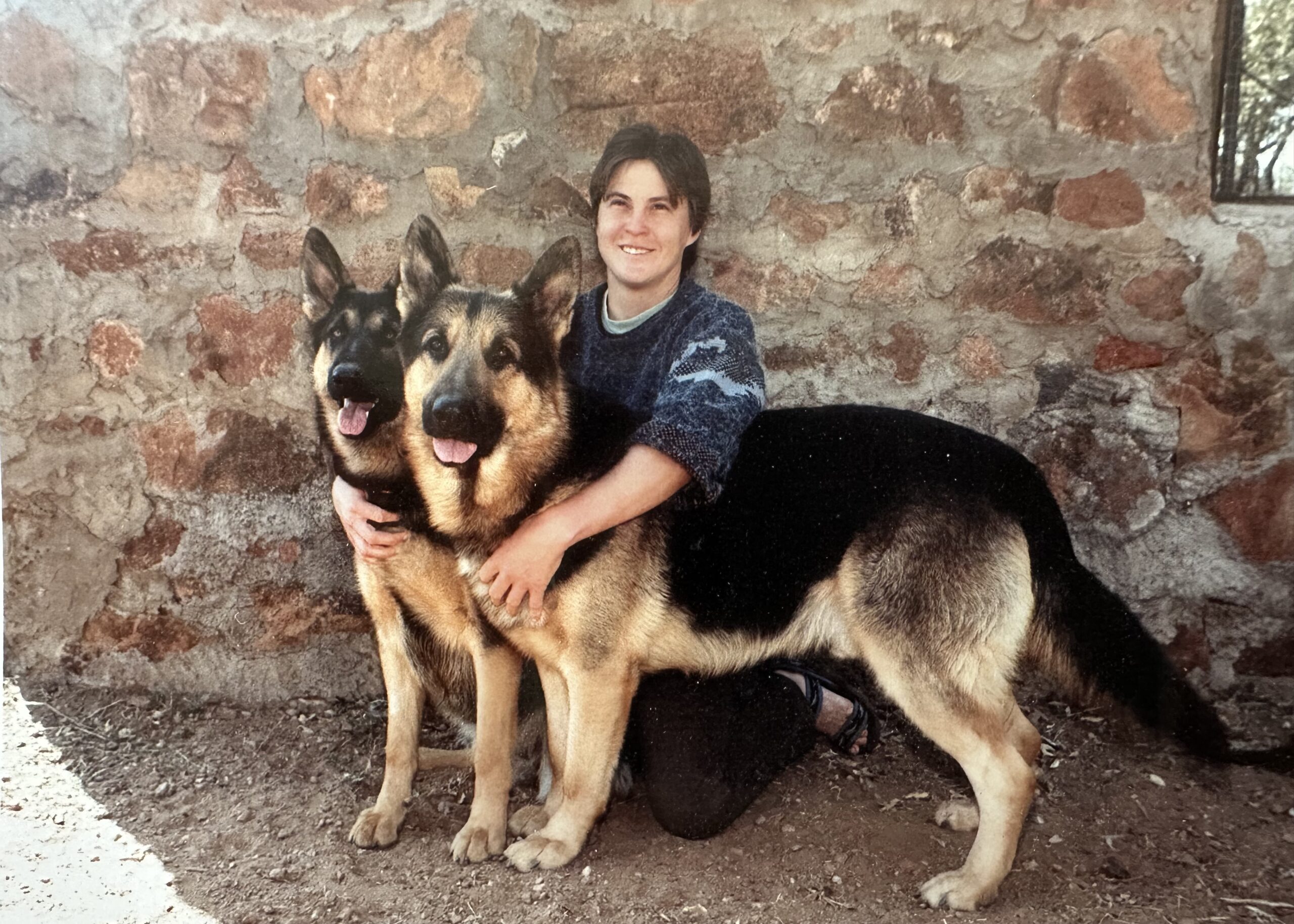 photo of our Olderhill GSDs